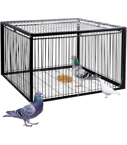 Amazon.co.jp: MBBTAG 鳩かご 鳩捕り籠 屋外鳩小屋 鶏のケージ